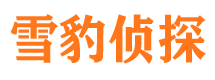 忻城小三调查